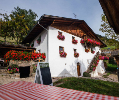 Farm inns & snack bars Farm inns & snack bars