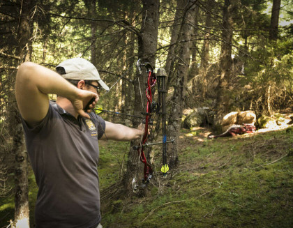 3D Bogenschießen 3D Bogenschießen