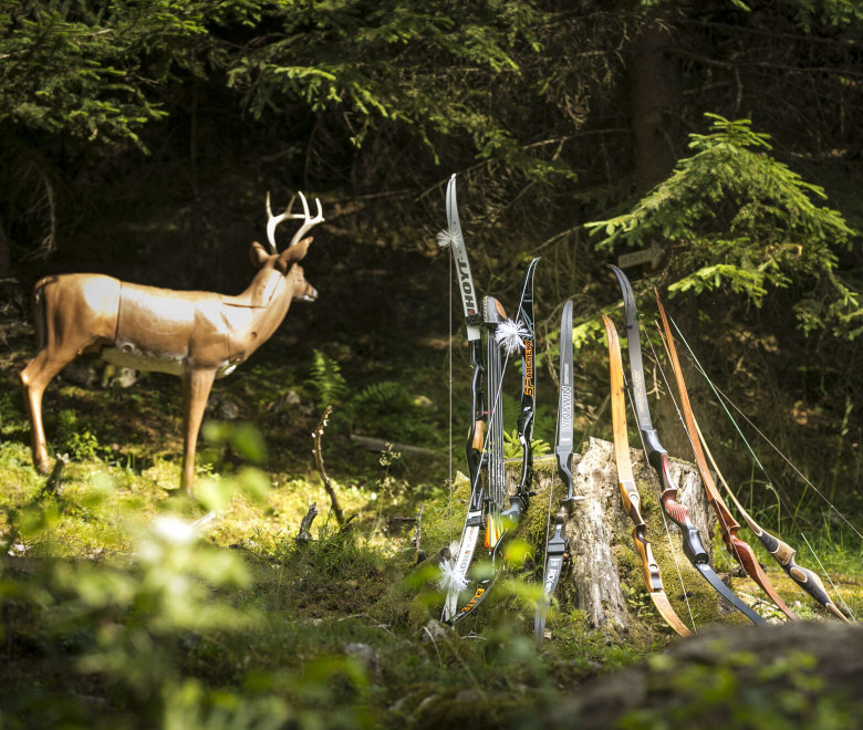 3D Bogenschießen 3D Bogenschießen
